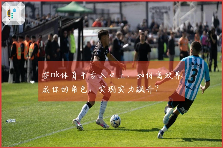 在mk体育平台入口上，如何高效养成你的角色，实现实力飙升？