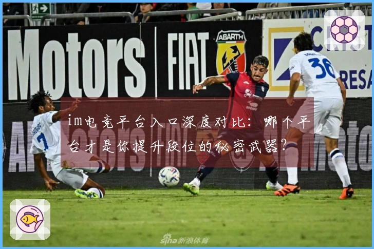 im电竞平台入口深度对比：哪个平台才是你提升段位的秘密武器？