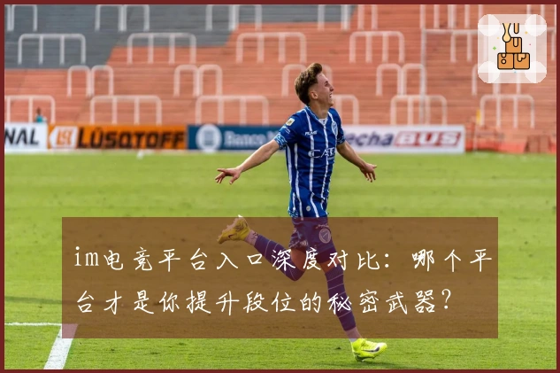 im电竞平台入口深度对比：哪个平台才是你提升段位的秘密武器？