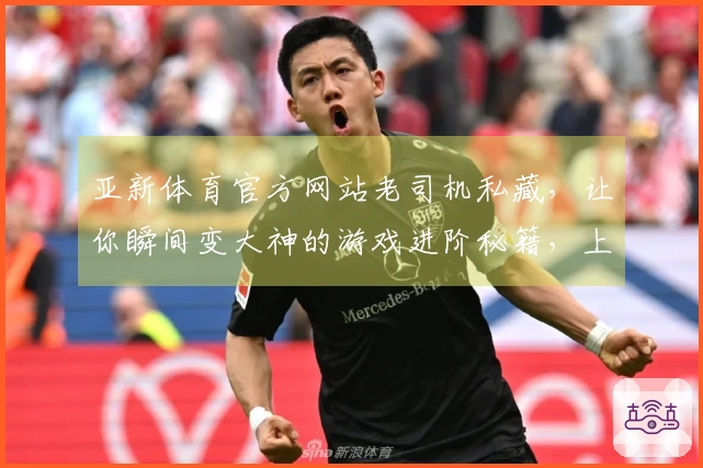 亚新体育官方网站老司机私藏，让你瞬间变大神的游戏进阶秘籍，上手就懂！