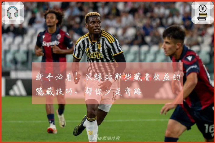 新手必看！买球站那些藏着收益的隐藏技巧，帮你少走弯路